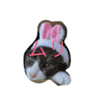 口の悪いねこ（個別スタンプ：9）