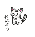 アメショのうみちゃん（個別スタンプ：1）