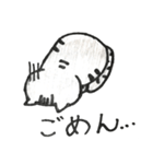 アメショのうみちゃん（個別スタンプ：3）