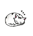 アメショのうみちゃん（個別スタンプ：8）