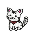 アメショのうみちゃん（個別スタンプ：16）