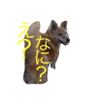 たー様（個別スタンプ：4）