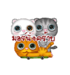 Big eyes cats（個別スタンプ：2）