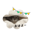 ハムスターはなまるさんのはなまる日和。（個別スタンプ：2）