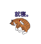 不思議な小人達の世界（個別スタンプ：2）