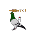 不思議な小人達の世界（個別スタンプ：25）