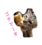 ボマキオ団2 （飼い主現る）（個別スタンプ：11）