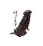 チョコラブmoca（個別スタンプ：22）