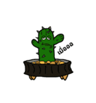 Cactus Ver.1（個別スタンプ：4）