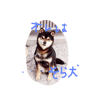 こころ★いぬ（個別スタンプ：2）