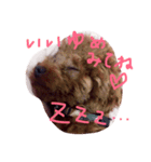 こころ★いぬ（個別スタンプ：4）