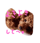 こころ★いぬ（個別スタンプ：8）