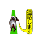 ダックスと黄色い吹き出し（個別スタンプ：8）