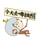 猿の猿-毎日の撮る.撮影する（個別スタンプ：8）