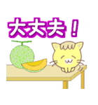 ぽろにゃん 3（個別スタンプ：10）