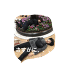 なおニキ軍団（個別スタンプ：15）