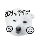 みんな大好きスピッツのぱーちゃん（個別スタンプ：6）