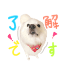みんな大好きスピッツのぱーちゃん（個別スタンプ：12）