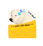 みんな大好きスピッツのぱーちゃん（個別スタンプ：16）