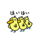 ごきげんピーコ（個別スタンプ：8）