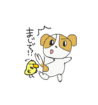 ごきげんピーコ（個別スタンプ：20）
