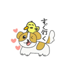 ごきげんピーコ（個別スタンプ：27）