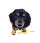 たかお（個別スタンプ：2）