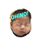 こーたんスタンプ！（個別スタンプ：1）