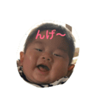 こーたんスタンプ！（個別スタンプ：2）