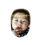 こーたんスタンプ！（個別スタンプ：3）