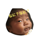 こーたんスタンプ！（個別スタンプ：4）