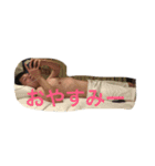 NATPスタンプ 第1弾（個別スタンプ：1）