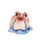 Watercolor Piggies（個別スタンプ：10）