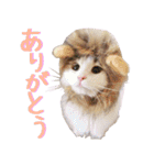 みりんとかりん ver.2（個別スタンプ：3）