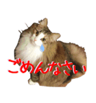 みりんとかりん ver.2（個別スタンプ：4）