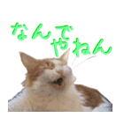 みりんとかりん ver.2（個別スタンプ：13）