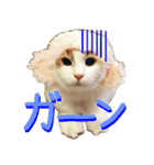 みりんとかりん ver.2（個別スタンプ：14）