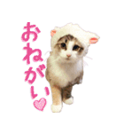 みりんとかりん ver.2（個別スタンプ：15）