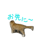 こんにちは、なるとです！3(子猫多め)（個別スタンプ：10）