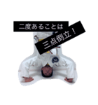 柔術グリーティング（個別スタンプ：8）
