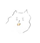 ゆかいなねこ（個別スタンプ：9）