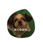 ポポとムー（個別スタンプ：2）