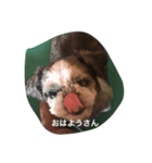 ポポとムー（個別スタンプ：5）