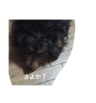 ポポとムー（個別スタンプ：8）