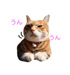ちゃとらねこ（個別スタンプ：32）