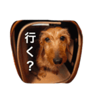アニィ（個別スタンプ：18）
