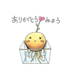 豆苗ちゃん（個別スタンプ：1）