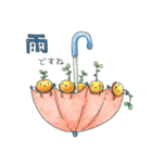 豆苗ちゃん（個別スタンプ：19）
