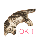 ひじきのきもち（個別スタンプ：2）