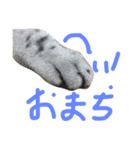 ひじきのきもち（個別スタンプ：4）